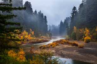 Eel River in the mist-1750.jpg Eel River in the mist-1750.jpg